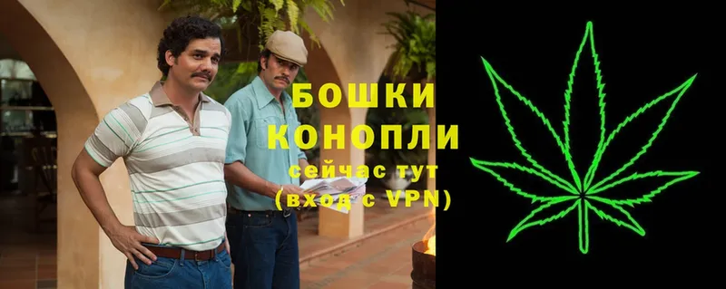 где купить наркоту  KRAKEN   Конопля SATIVA & INDICA  Приморск 